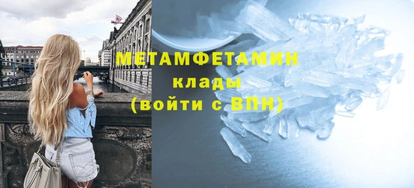 шишки Абаза