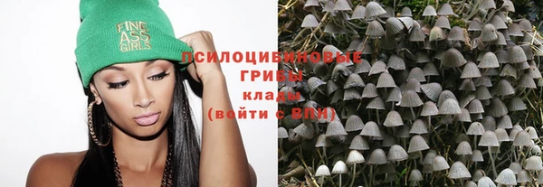 МДПВ Алзамай