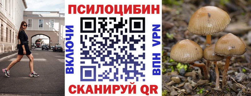 даркнет сайт  Пугачёв  Псилоцибиновые грибы Magic Shrooms 